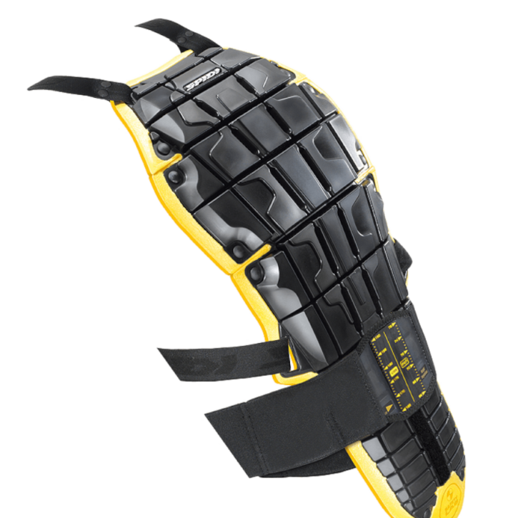 Spidi back warrior evo